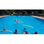 Colonia de Vacaciones - Diciembre 2014